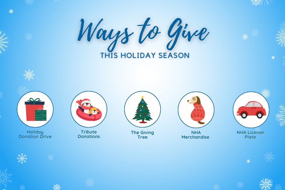 Looking for a way to support shelter animals this holiday season? Head to nashvillehumane.org for more information on our 5 ways to give this year! Happy Pawlidays!❄️