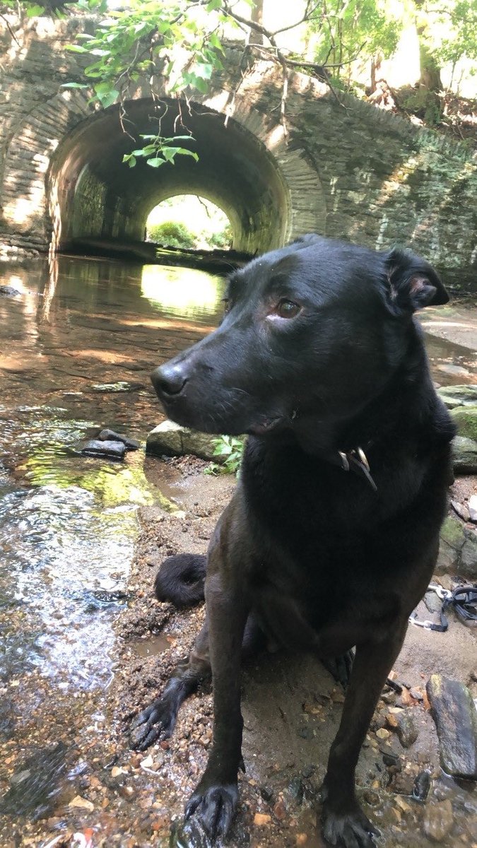 julie k. brown tweet media