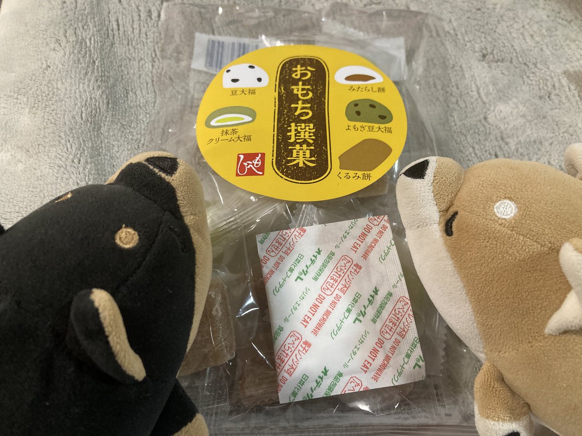 今日はモチもらったヨォ
#リブハート
#りぶはあと
#ねむねむアニマルズ 
#ぬい活
#ぬいぐるみじゃありません家族です
#ぬい撮り