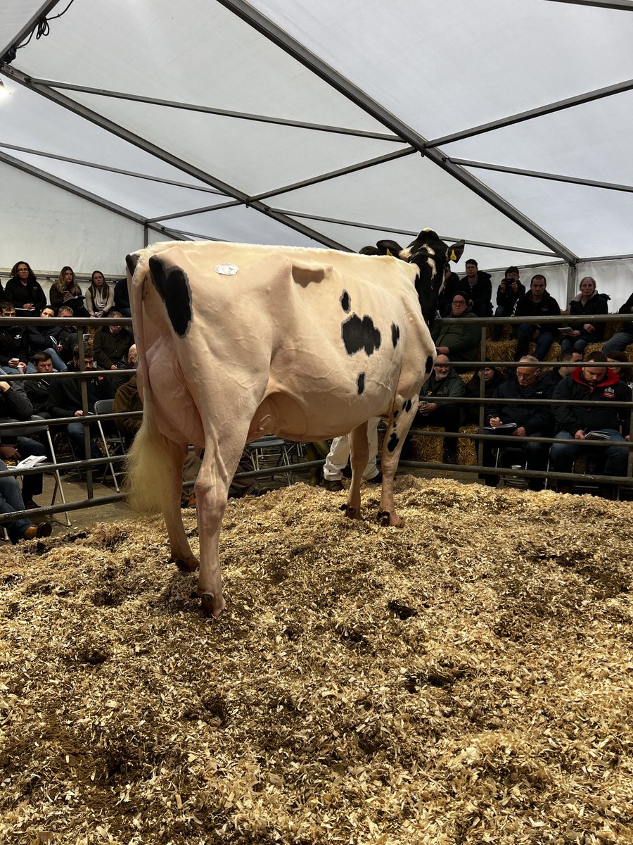 Lot15a Lambda Gremlin 48000gns