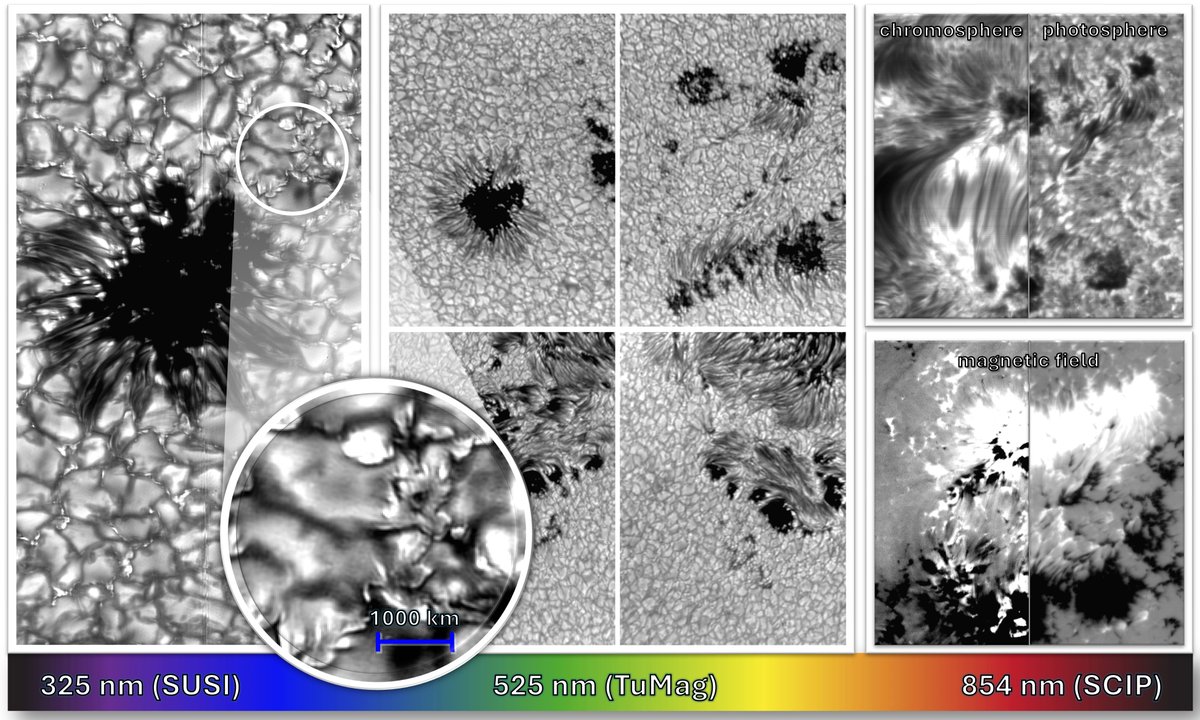 Today, #Sunrise_III shares its 1st images of the #Sun! Read more here: mps.mpg.de/first-solar-im… 
<a href="/iaa_csic/">IAA-CSIC</a> <a href="/prcnaoj_en/">NAOJ</a> #KIS <a href="/JHUAPL/">Johns Hopkins APL</a> <a href="/maxplanckpress/">Max Planck Society</a> <a href="/CSIC/">CSIC</a> <a href="/MPSGoettingen/">Max Planck Institute for Solar System Research</a> <a href="/UV_EG/">Universitat València</a> <a href="/La_UPM/">Universidad Politécnica de Madrid</a> <a href="/IAC_Astrofisica/">IAC Astrofísica</a>