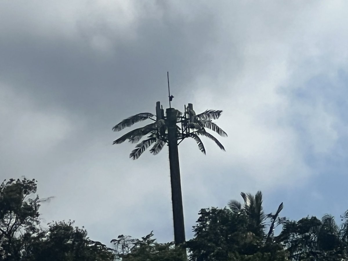 PR8KW GI77 - Gustavo tweet media