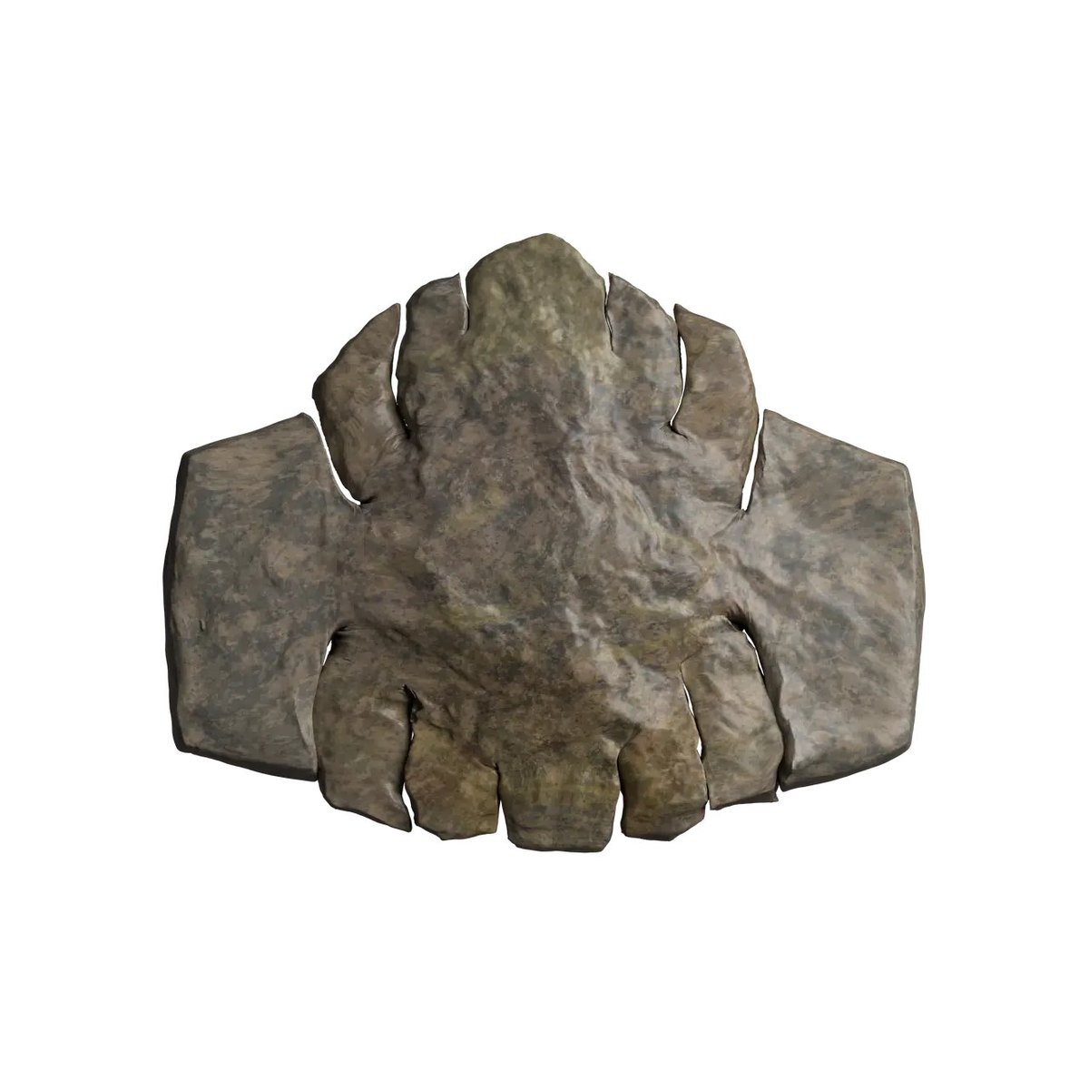 maria paula (@mptherealmvp) on Twitter photo Minted a Rock Hyphen Orchid Wasp - opted for one closer to a rock because Ethereum rocks do very well in general.
Tysm <a href="/Still_Available/">Oliver Laric</a> 🪨 Minted a Rock Hyphen Orchid Wasp - opted for one closer to a rock because Ethereum rocks do very well in general.
Tysm <a href="/Still_Available/">Oliver Laric</a> 🪨