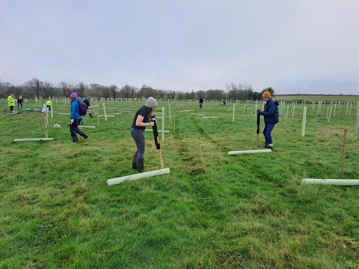 TEP (@tep_ltd) on Twitter photo In celebration of the 10th Anniversary of our #MarketHarborough office, the team volunteered at Smeeton Westerby, where they contributed to a tree planting project led by <a href="/HarboroughWood1/">Harborough Woodland Community Volunteers</a>, helping to create a native woodland and boost flood resilience along Langton Brook. #MH10 In celebration of the 10th Anniversary of our #MarketHarborough office, the team volunteered at Smeeton Westerby, where they contributed to a tree planting project led by <a href="/HarboroughWood1/">Harborough Woodland Community Volunteers</a>, helping to create a native woodland and boost flood resilience along Langton Brook. #MH10