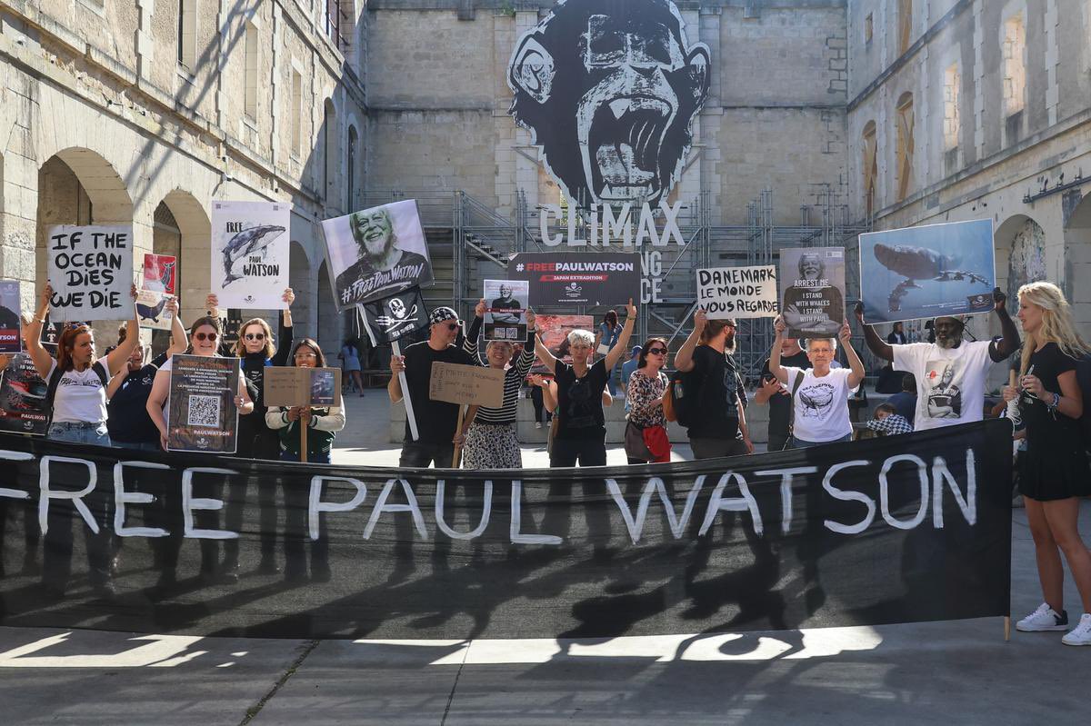 GossipRoomOff's tweet photo. 🚨 "Paul Watson est libre !!!"

Après 149 jours de détention au Groenland, le défenseur des baleines et fondateur de Sea Shepherd a enfin retrouvé sa liberté. Accusé dans le cadre d’une possible extradition vers le Japon, il va désormais pouvoir rentrer en France auprès de sa femme et de ses deux enfants.

Une victoire pour les défenseurs de la cause animale, les militants anti-chasse à la baleine et un soulagement pour ses proches ! 🙏🐋 (via Libération)