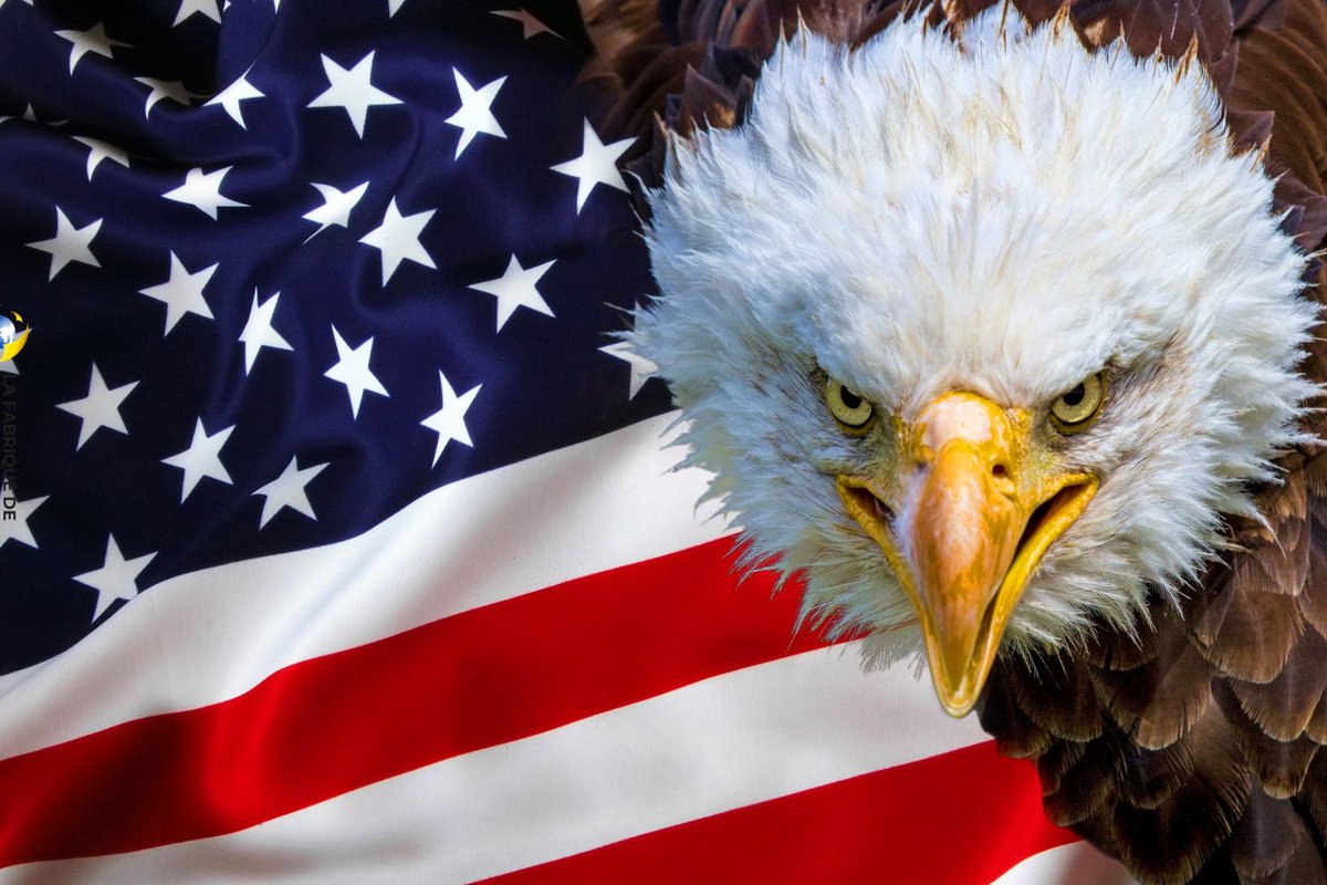 Fabrique_Exportation (@fabrique_export) on Twitter photo Que faire face au protectionnisme de Trump ?
fabrique-exportation.com/que-faire-face…
<a href="/EtienneVauchez/">Etienne Vauchez</a> Que faire face au protectionnisme de Trump ?
fabrique-exportation.com/que-faire-face…
<a href="/EtienneVauchez/">Etienne Vauchez</a>
