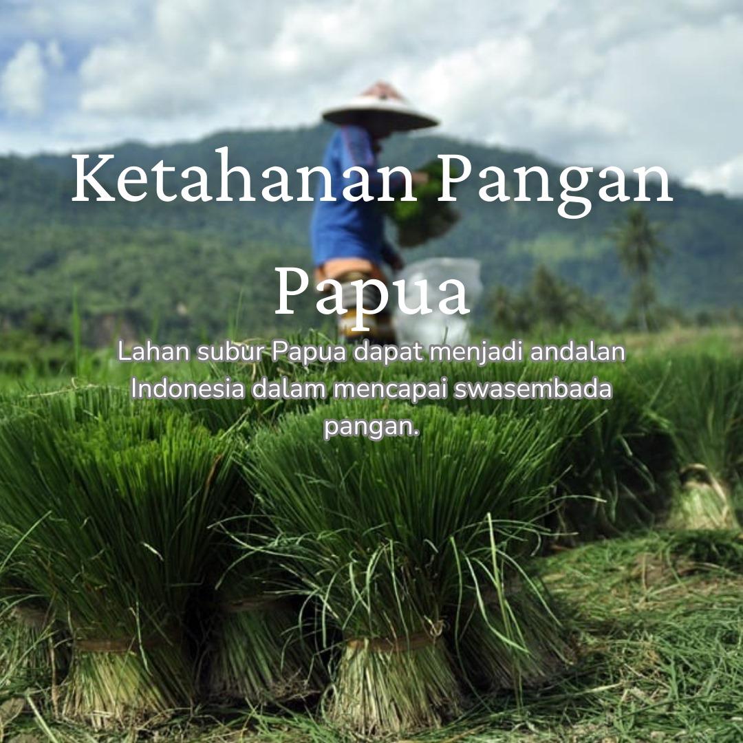 chleoouk's tweet photo. Mari bersama wujudkan swasembada pangan di Papua. Bersama kita wujudkan program Prabowo-Gibran. 

#SwasembadaPangan
#PrabowoSubianto
#Prabowo
PPN 12%
#earthquake
#PapuaMaju https://t.co/jVB8rjsKzC