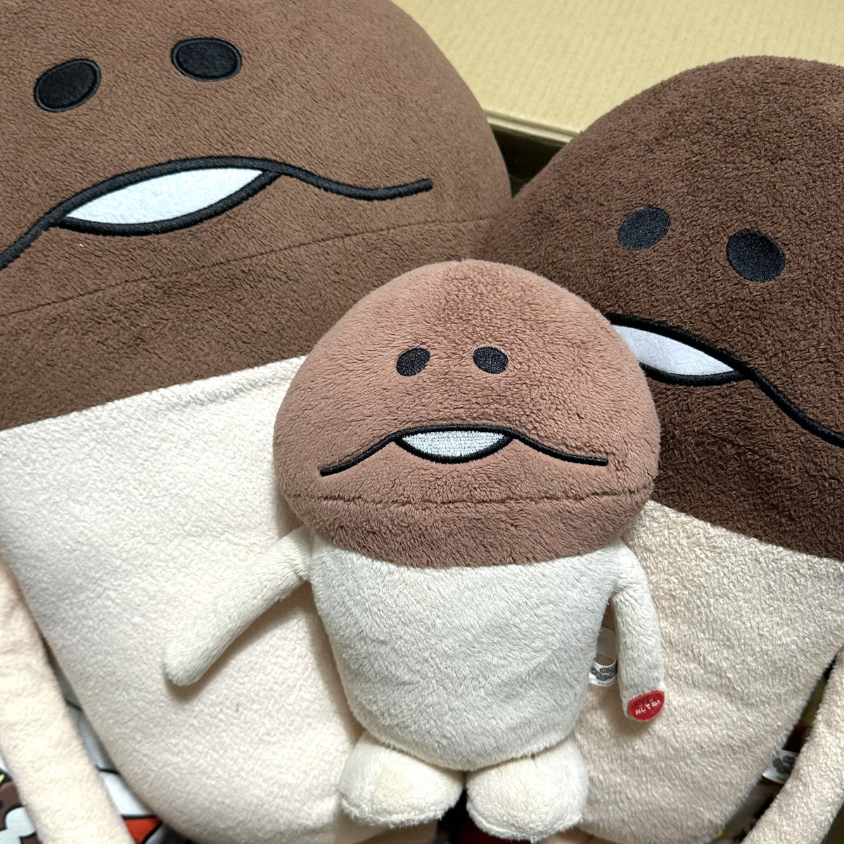 균권운동가 여러분께서 가장 기대하실 나메코 인형 모음집••• 오모이데 마켓에서 바보버섯 최저가로 판매합니다!!! ʅ( ˊ̱˂˃ˋ̱ )ʃ ♡