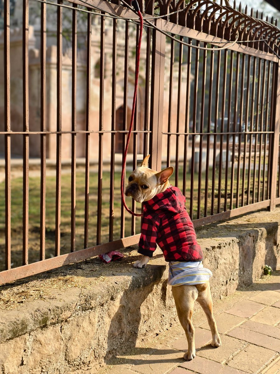 Sanket Vijayasarathy tweet media