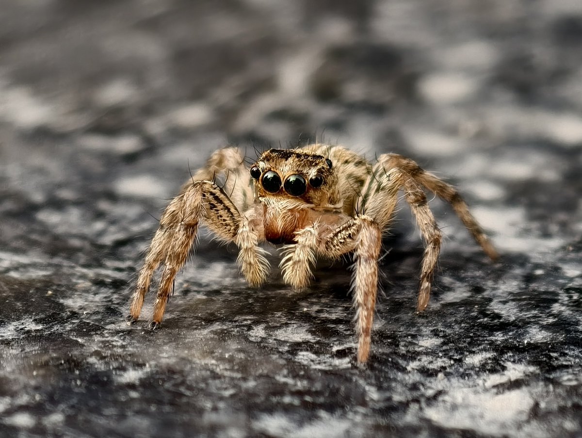 Sanket Vijayasarathy tweet media