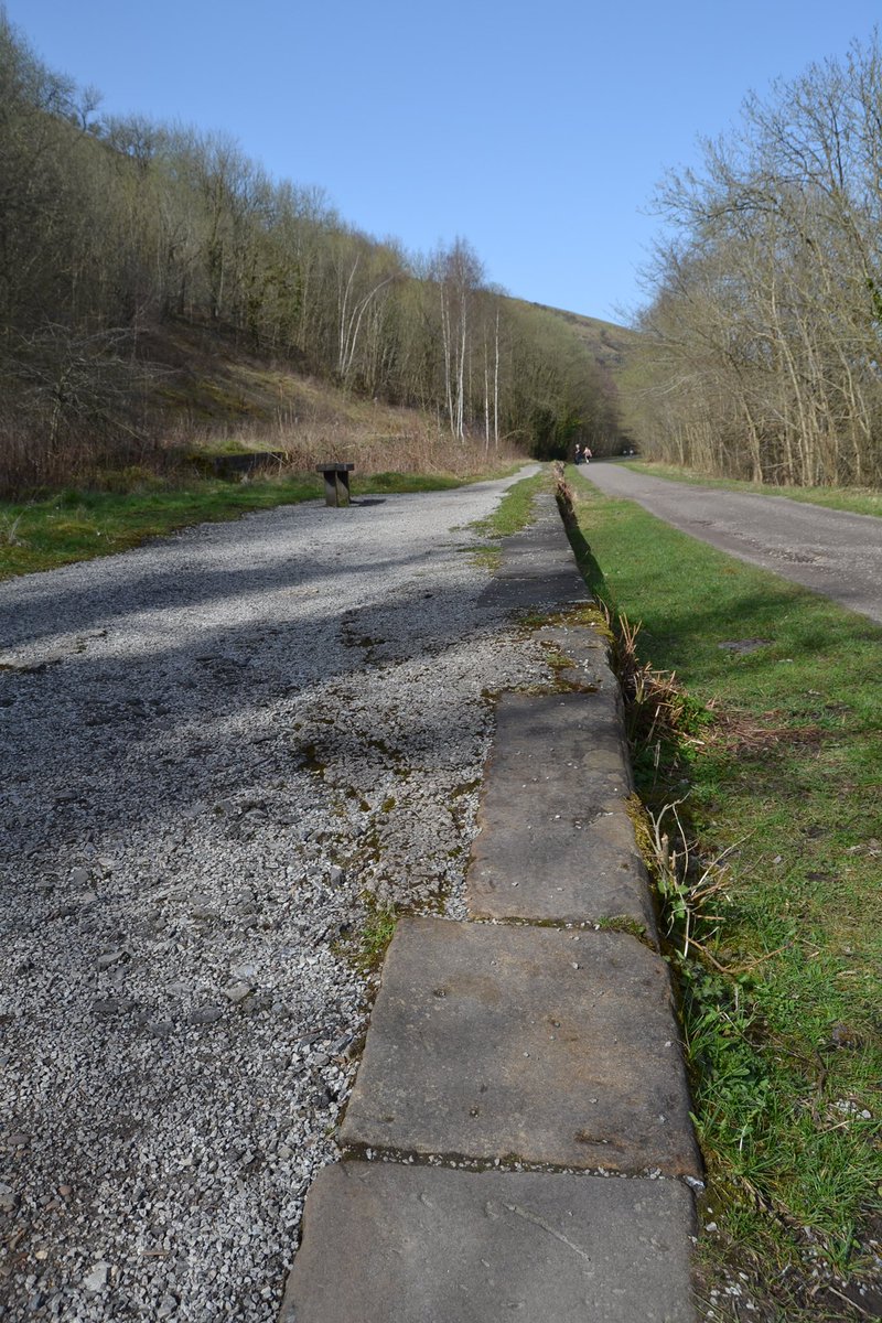 The Peaks and Dales Line tweet media