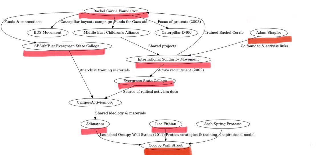 Tali Gillette tweet media