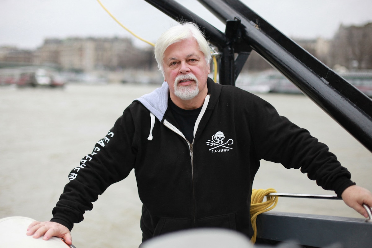 Bien que controversé, Paul Watson est un homme qui a dédié sa vie à la défense des océans. Son combat mérite le respect, et aujourd'hui, sa libération marque un retour à la liberté tant attendue. Heureux qu'il puisse enfin retrouver la France, son refuge.
#PaulWatson #Seasheperd