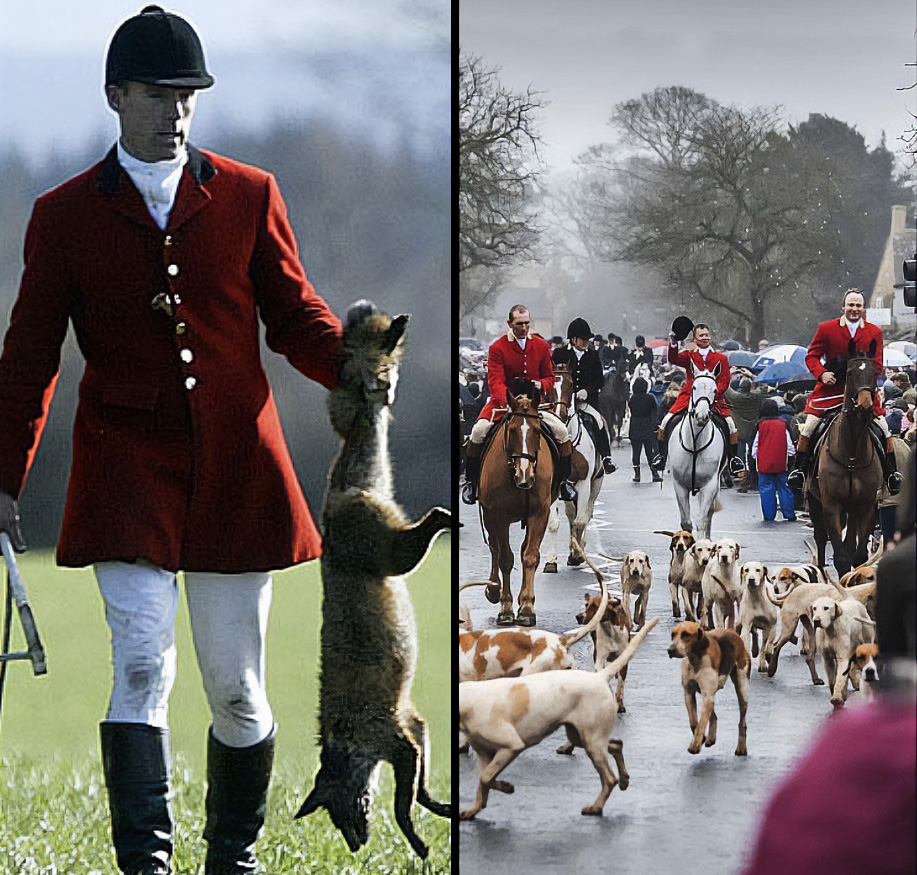 Hunts across the UK parade through high streets, masking their cruelty with a polished, friendly image.

But behind the scenes, foxes are chased to exhaustion and killed in the name of ‘sport.’

RT to reveal the truth and expose the reality of these hunts.