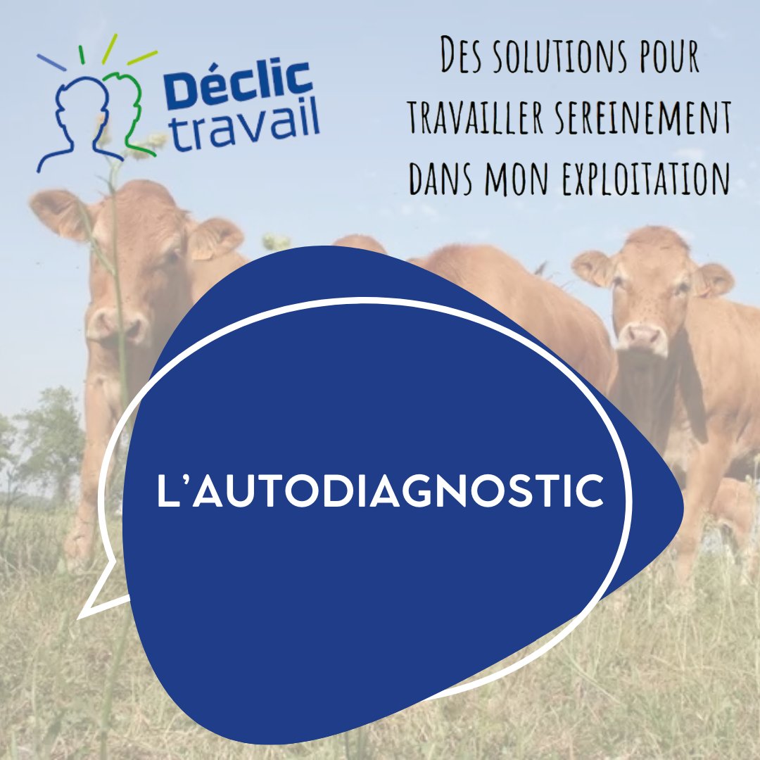 [ Zoom sur #DéclicTravail  🐄🐂🐑🐐🐴🐔🐇  🐷 ]

Vous êtes éleveurs et vous vous reconnaissez dans une des affirmations suivantes 🤔
✅ Je trouve ma charge de #travail trop importante
✅ J'ai du mal à gérer les pointes de travail
✅ Je trouve mon travail pénible moralement ou
