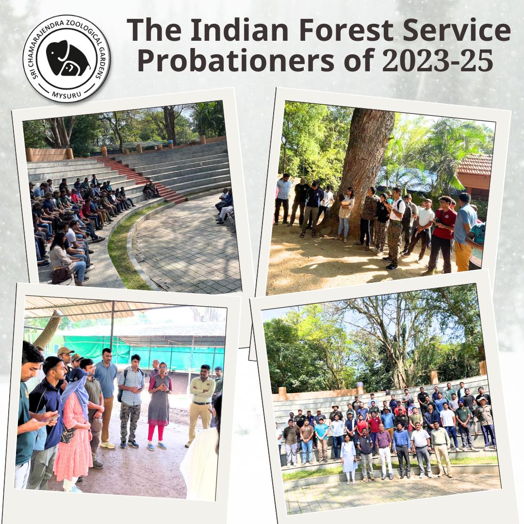 Mysuru Zoo (@mysore_zoo) on Twitter photo Understanding the Role of Zoos in conservation and captive animal management visit by the Indian Forest Service probationers of 2023- 2025 course from Indira Gandhi National Forest Academy Understanding the Role of Zoos in conservation and captive animal management visit by the Indian Forest Service probationers of 2023- 2025 course from Indira Gandhi National Forest Academy