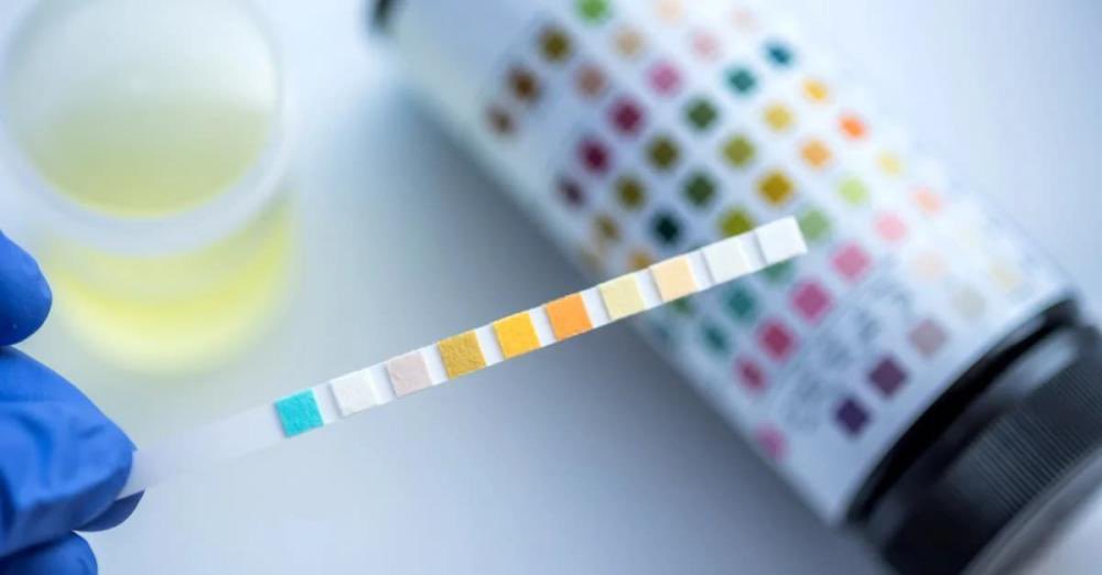 حملة مشتركة لإجراء فحص المخدرات والمؤثرات العقلية العشوائي على سائقي وسائل النقل العام كالشاحنات والحافلات وسيارات الأجرة.