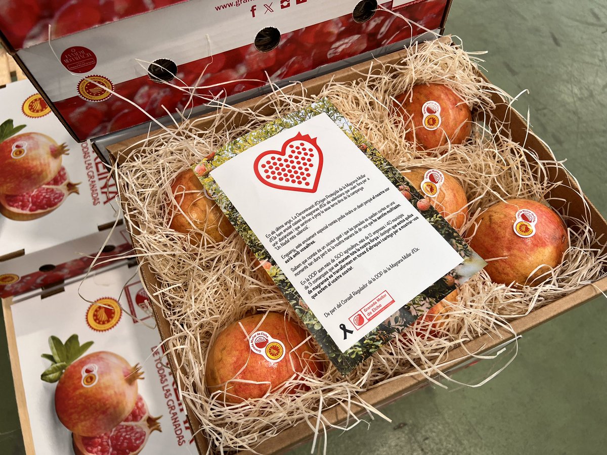 Granadas de Elche tweet media