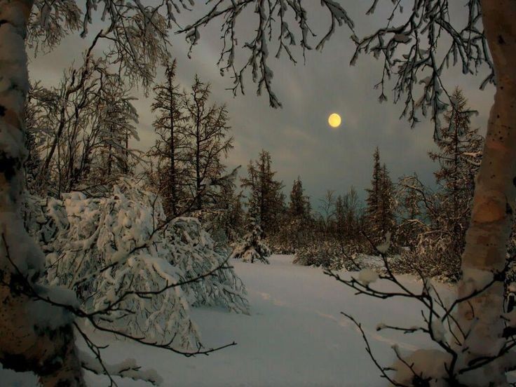elemmiressoul's tweet photo. tranquil. https://t.co/grS0WErC91