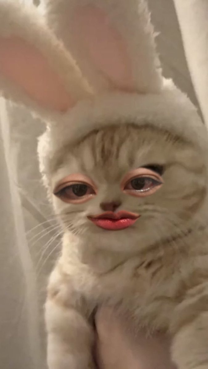 最近のお気に入り