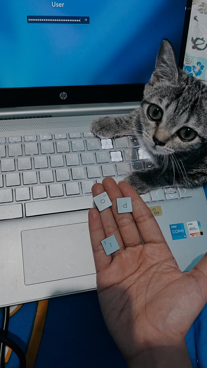 maru_biru's tweet photo. @kochengfs tetep masih emoci ini sih https://t.co/UwXybewLK7