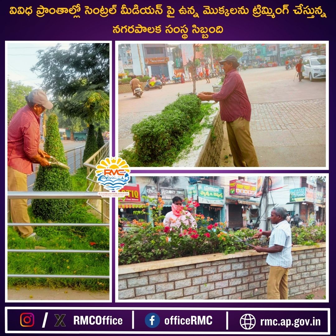 RMCoffice's tweet image. 🌿 Maintaining a Greener Tomorrow 🌱
Rajahmundry Municipal Corporation (RMC) is committed to enhancing the beauty and health of our city by maintaining lush greenery in parks and central medians.
#gogreen #plantmoretrees #greencity  #urbangreenery #cleanandgreen #rajahmundry #rmc