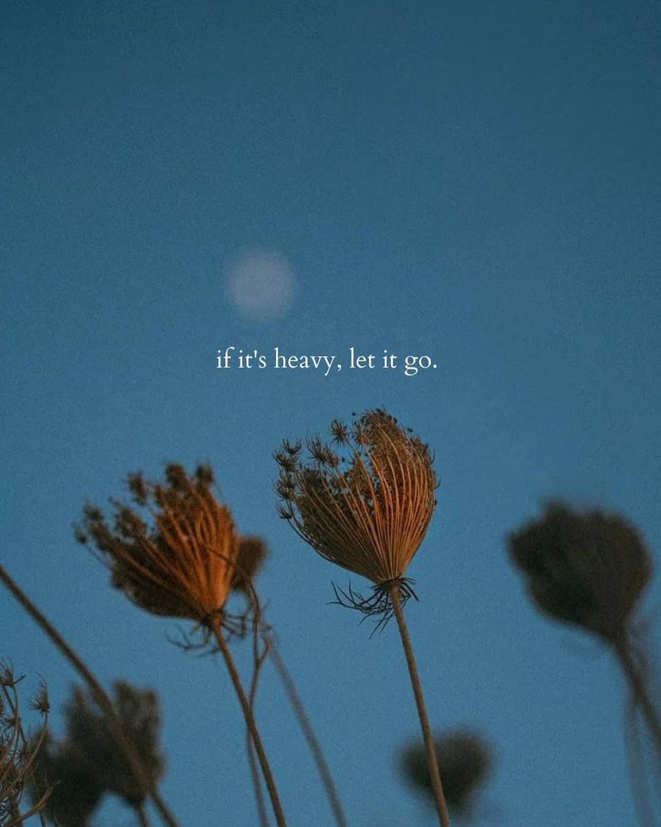 BornToGoall's tweet image. Release the weight that anchors you, and find freedom in letting go.