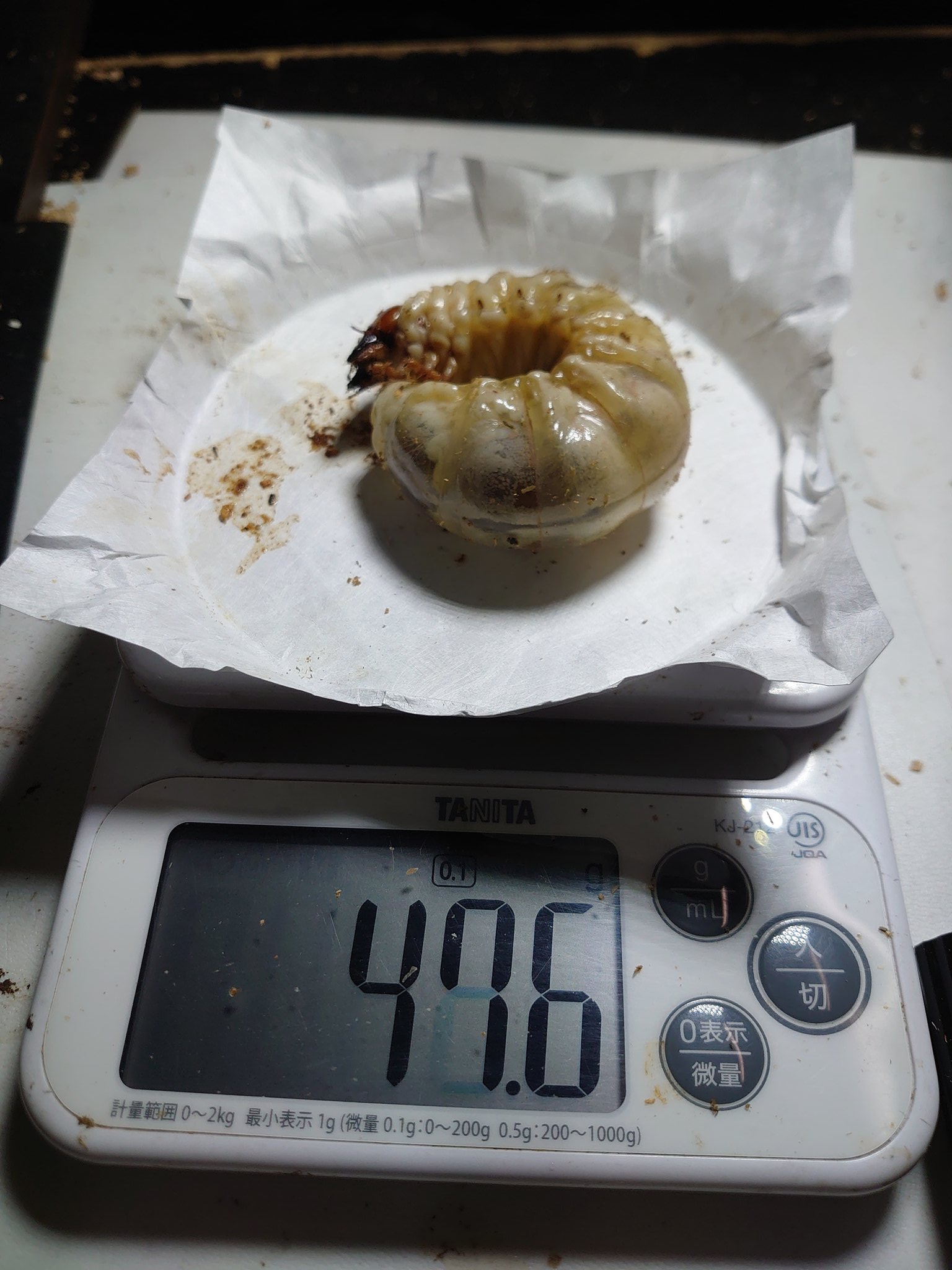 fevern0vになります❣️ご検討宜しくお願い致します(*^^*) 絶煩 Tajinyo (TajinyoZETUBON@) / X