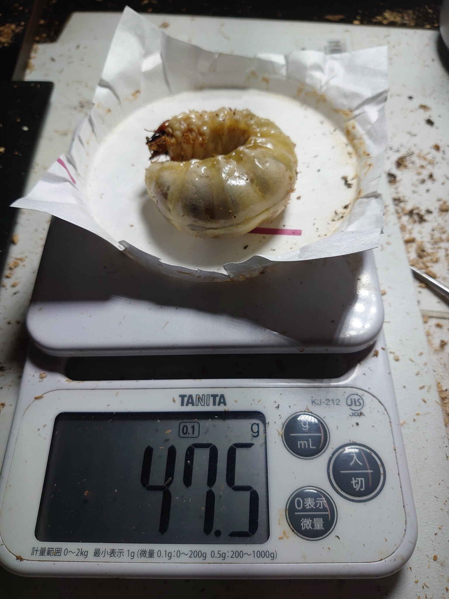 貴重！ 交渉お願いします！ 高槻市】公式アカウント on X