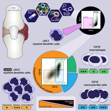 Kriegova Lab tweet media