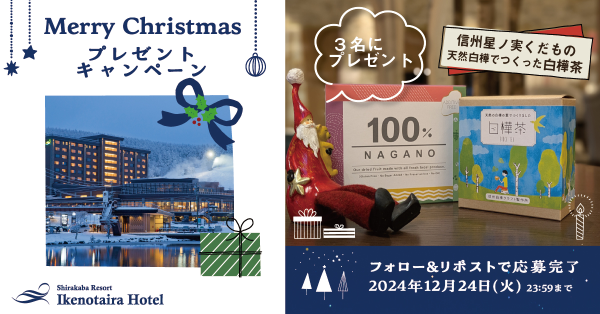 幸運を呼ぶヤドリギ（宿生木）】 落葉樹に寄生して水や栄養を吸収し