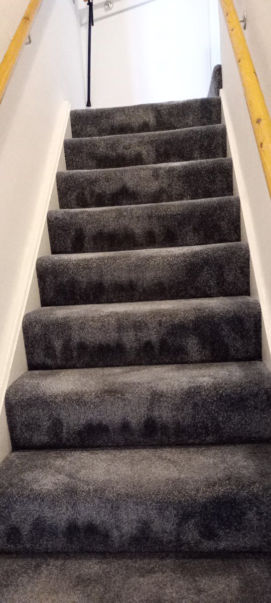 #Stairlifts tweet media