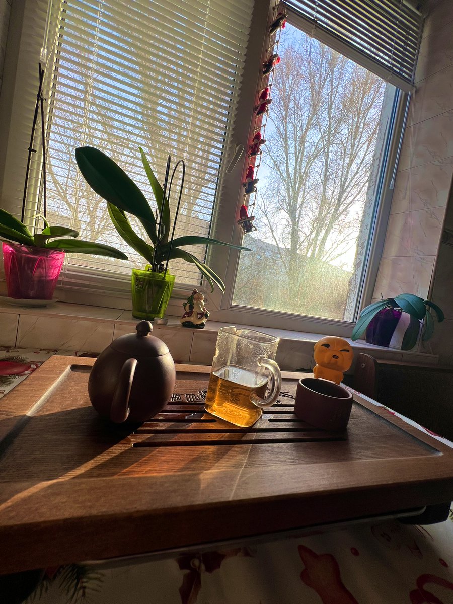 Romazes88's tweet photo. Regular Tuesday 😇 looks like sunny day.
Tomorrow will be important day for me 🧔🏻‍♂️
----------
#Tea: RED TEA
#Teaware: teapot
#Location:📍At home https://t.co/0z0aZu5Vzr