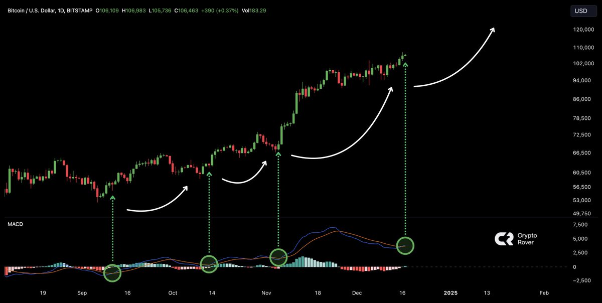 cryptorover's tweet photo. MASSIVE #BITCOIN BUY SIGNAL IS FLASHING!!!🚨 https://t.co/RgF8hqTcou