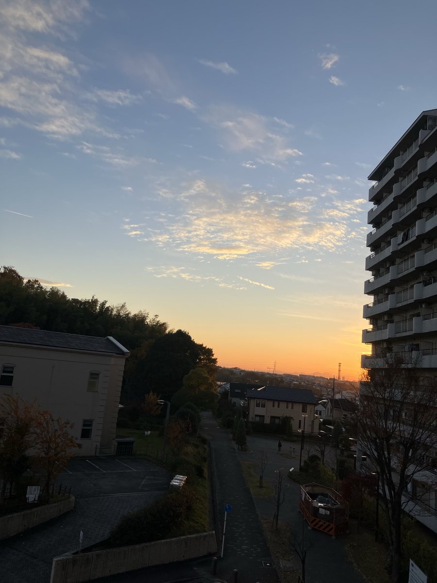 naoco1125 tweet picture