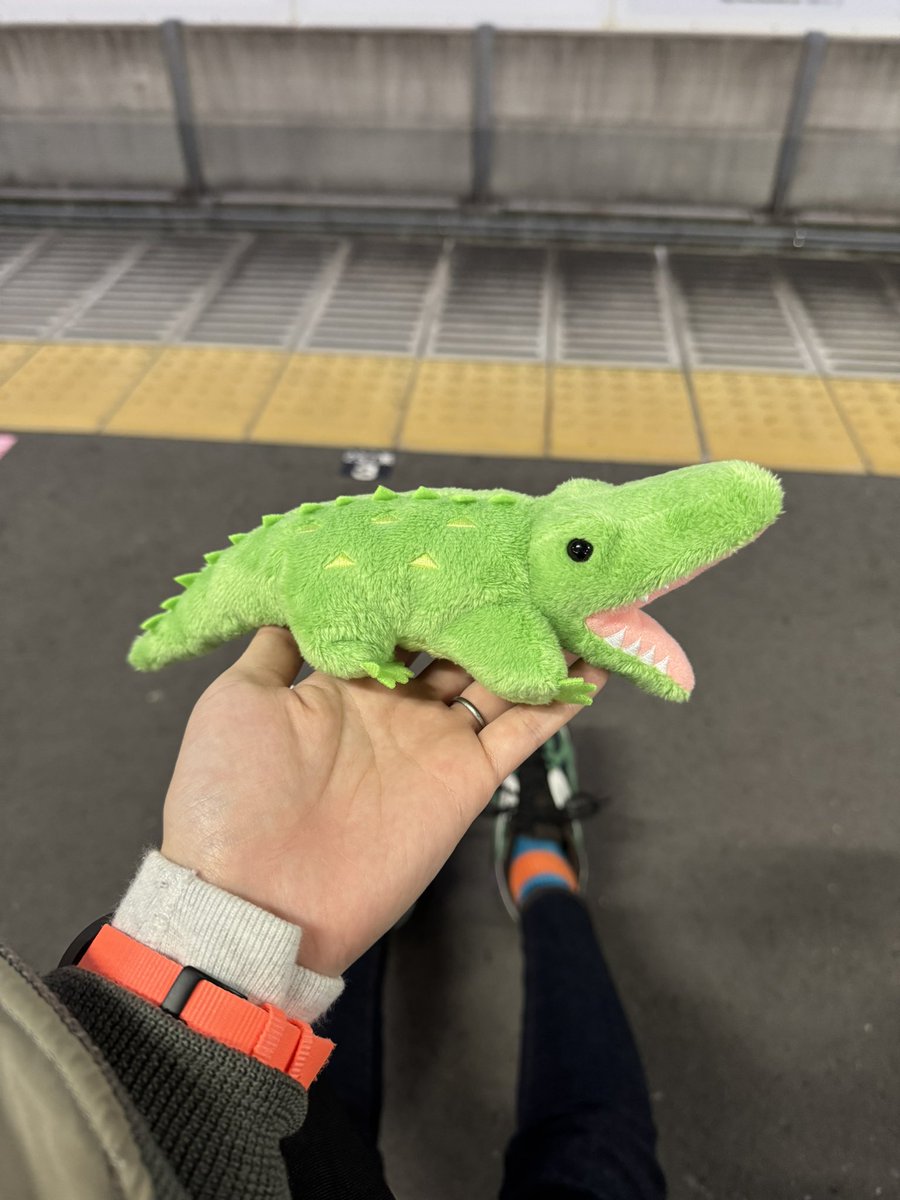 WANIwaniamemi's tweet image. またふやしちゃった…🐊