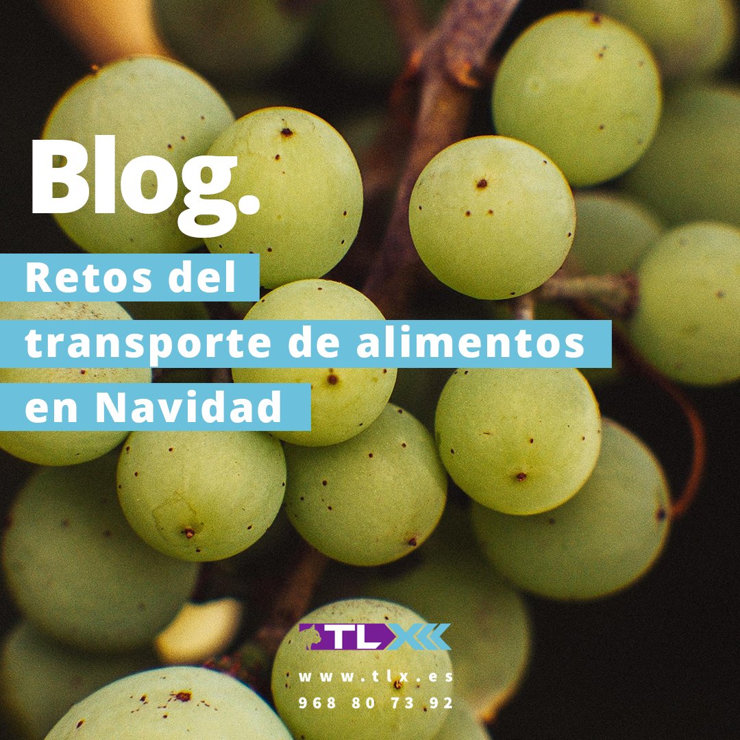 Estas fechas 🎄 son intensas en carretera, lo que plantea retos para el transporte de los alimentos más típicos de la Navidad. Los explicamos uno a uno en nuestro #blog📝➡️bit.ly/Alimentos_Navi…
#TransporteUrbanoMercancías #TransporteMercancías #TransporteUrbano