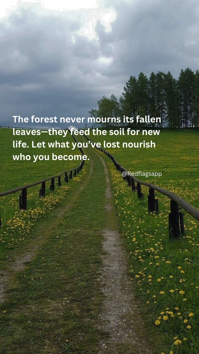 Nature teaches us that nothing stays the same; storms pass, seasons change, and life finds a way, even in the hardest places. These quotes are gentle reminders to hold on, to keep growing, and to trust that brighter days will come. 🌿

A thread of hope through nature ⬇️