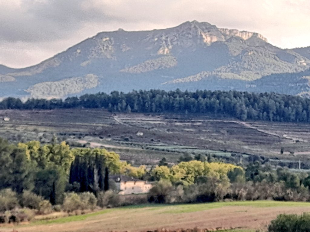Avui fa 337 anys del naixement del Coronel Barceló a #Capçanes, #Priorat (17/12/1687).
ca.m.wikipedia.org/wiki/Pere_Joan…