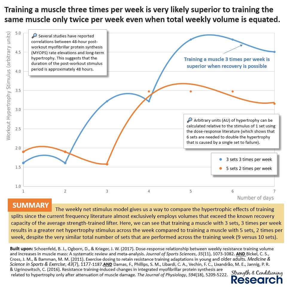 SandCResearch's tweet photo. The weekly net stimulus model suggests that full body programs are unbeatable even when compared to the very popular upper-lower split routine. https://t.co/W5pt6VmEQ9