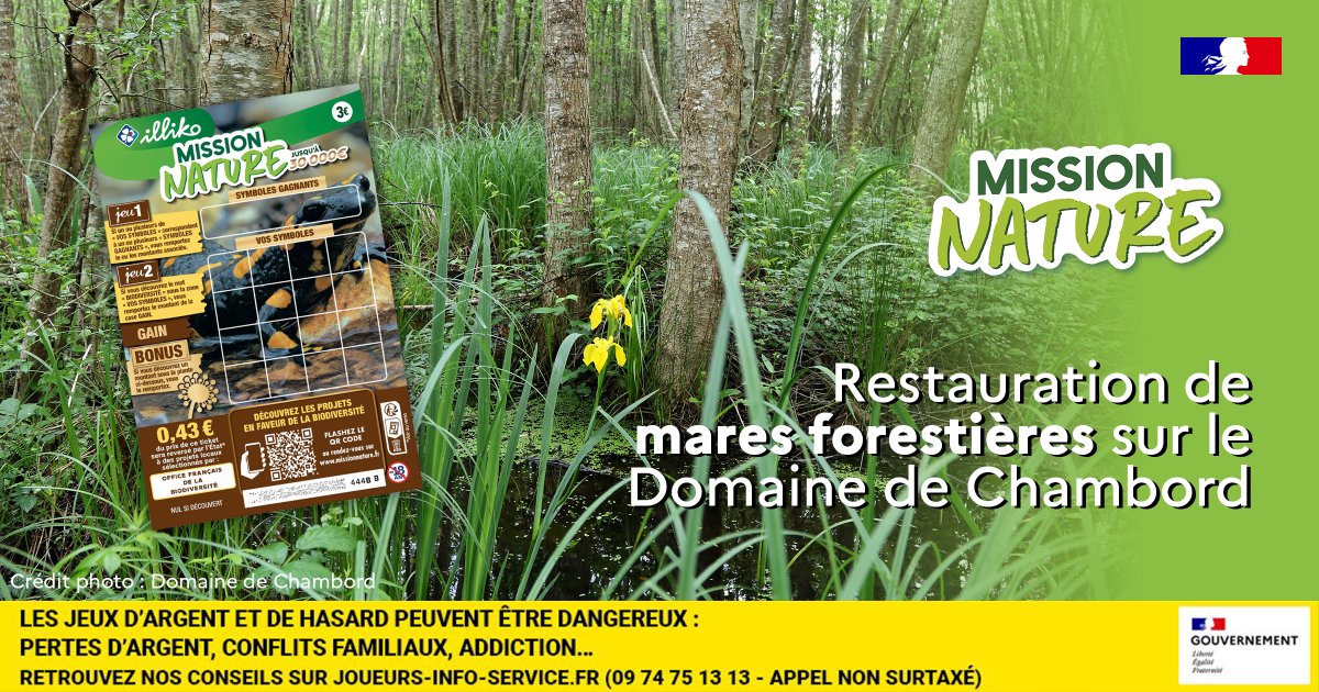 Office français de la biodiversité (@ofbiodiversite) on Twitter photo 🍀 Dans le cadre du jeu de grattage #MissionNature, 19 projets de restauration de la biodiversité sont mis en œuvre
🌳 Retour sur le projet de restauration de mares forestières sur le <a href="/domainechambord/">Château de Chambord</a>
👉 ofb.gouv.fr/restauration-d…
@FDJ 🍀 Dans le cadre du jeu de grattage #MissionNature, 19 projets de restauration de la biodiversité sont mis en œuvre
🌳 Retour sur le projet de restauration de mares forestières sur le <a href="/domainechambord/">Château de Chambord</a>
👉 ofb.gouv.fr/restauration-d…
@FDJ