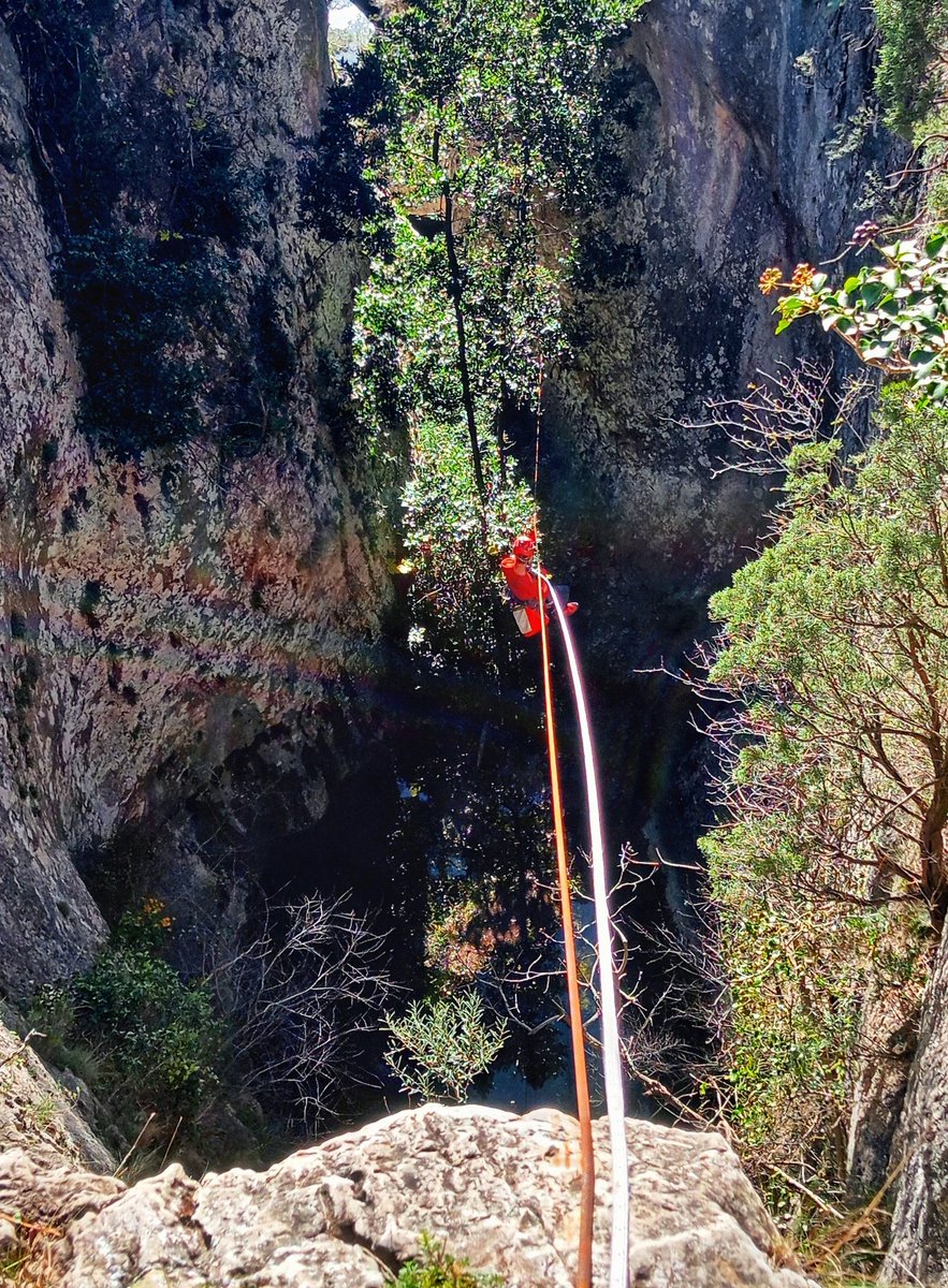 Pepino Acn tweet media