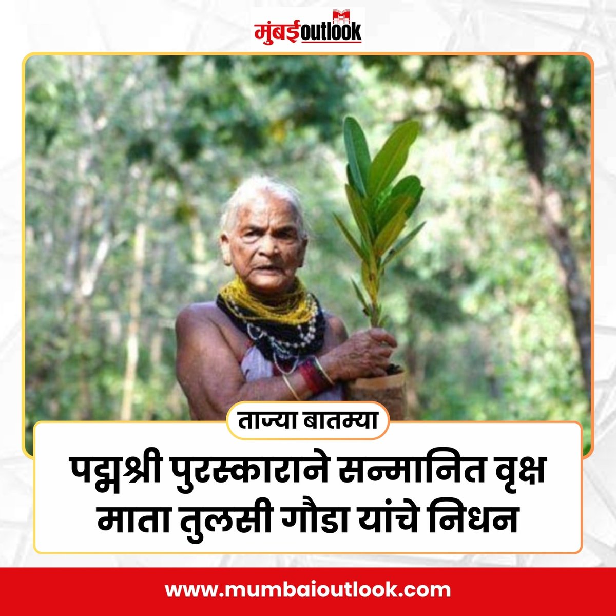 MumbaiiOutlook's tweet image. पद्मश्री पुरस्काराने सन्मानित वृक्ष माता तुलसी गौडा यांचे निधन
.
.
#PadmaShri #TulsiGowda #TreeMother #Environmentalist #Legacy #NatureLover #IndianHeroes #Conservation #Tribute #Resilience #Biodiversity #EarthWarrior #EcoActivist #Inspiration #RestInPeace #Forestry…
