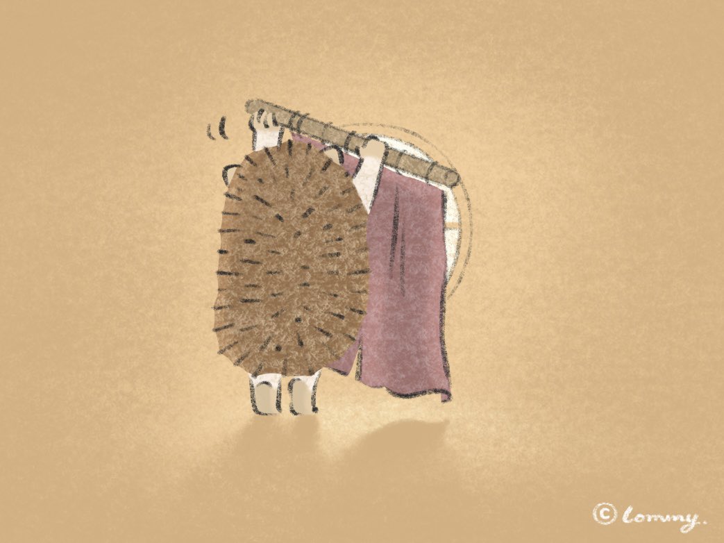はりねずみくんの部屋🦔🏠
#ハリネズミ 