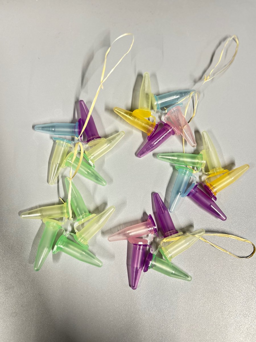 The holiday spirit has made its way to the lab benches at <a href="/ISTAustria/">ISTAustria</a> ! 🎄🔬 Wishing everyone a joyful and festive season.