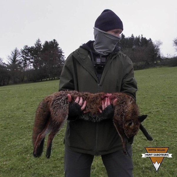 Hunt Saboteurs Association (@huntsabs) on Twitter photo ๐ฆ๐๐ก๐ก๐ฌ๐๐ฅ๐๐๐๐ ๐ฆ๐๐๐จ๐๐๐ง๐๐ฅ: ๐ฃ๐ข๐ช๐ฌ๐ฆ ๐๐จ๐ก๐ง ๐๐๐๐๐ฆ ๐๐ข๐ซ ๐๐ก ๐๐ฅ๐ข๐ก๐ง ๐ข๐ ๐ฆ๐๐๐ฆ
โ ๏ธ๐๐ถ๐๐๐ฟ๐ฒ๐๐๐ถ๐ป๐ด ๐๐บ๐ฎ๐ด๐ฒ๐ ๐ฎ๐ป๐ฑ ๐๐ผ๐ป๐๐ฒ๐ป๐ โ ๏ธ
Last Saturday, the Brecon-based Sennybridge Farmers Hunt caught and killed a female fox. Foot sabs ๐ฆ๐๐ก๐ก๐ฌ๐๐ฅ๐๐๐๐ ๐ฆ๐๐๐จ๐๐๐ง๐๐ฅ: ๐ฃ๐ข๐ช๐ฌ๐ฆ ๐๐จ๐ก๐ง ๐๐๐๐๐ฆ ๐๐ข๐ซ ๐๐ก ๐๐ฅ๐ข๐ก๐ง ๐ข๐ ๐ฆ๐๐๐ฆ
โ ๏ธ๐๐ถ๐๐๐ฟ๐ฒ๐๐๐ถ๐ป๐ด ๐๐บ๐ฎ๐ด๐ฒ๐ ๐ฎ๐ป๐ฑ ๐๐ผ๐ป๐๐ฒ๐ป๐ โ ๏ธ
Last Saturday, the Brecon-based Sennybridge Farmers Hunt caught and killed a female fox. Foot sabs