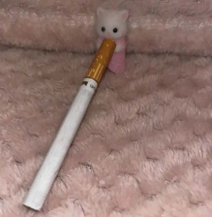 luciapetardaa's tweet photo. un cigarrito pa los nervios https://t.co/xcg6LYFBXt
