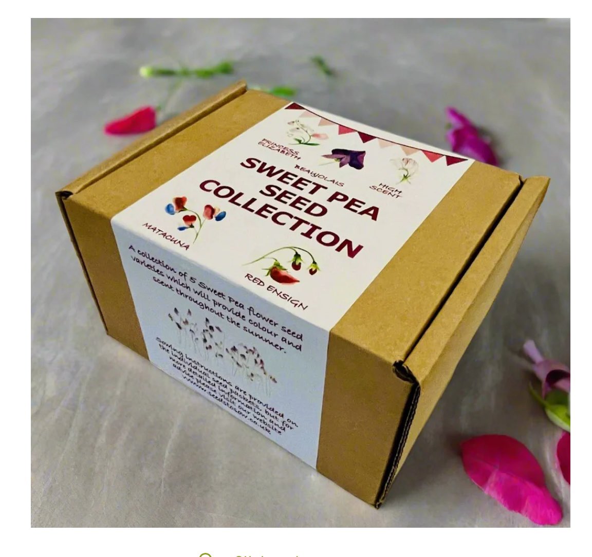 Seedstosowuk tweet media