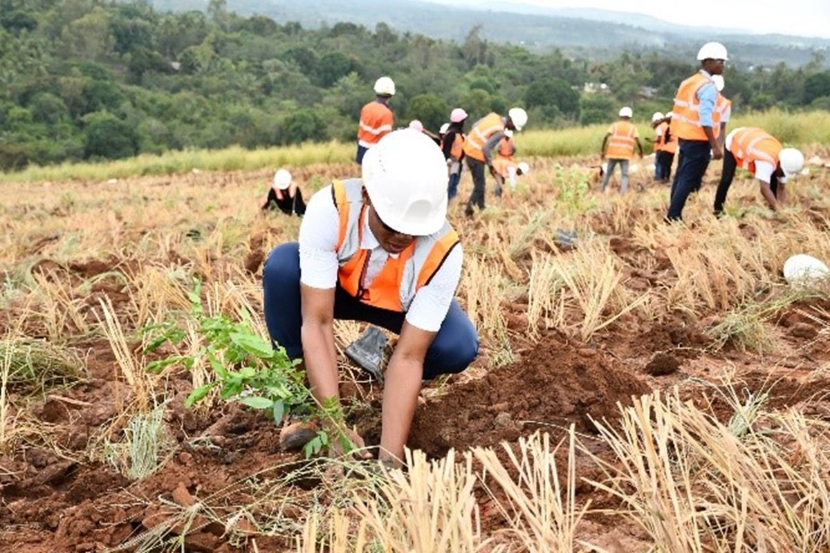 Base Resources tweet media