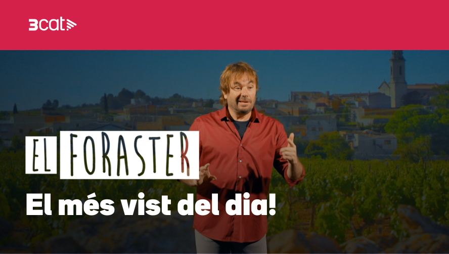 3CatCorporatiu's tweet photo. AUDIÈNCIES | #ElForaster3Cat és el programa més vist del dia a Catalunya!

A #TV3, lidera les audiències del dilluns amb la seva màxima quota de temporada, un 25,2%, i fins a 641.000 espectadors acumulats

A la plataforma #3Cat, és el segon programa més vist del dia, amb 44.000 reproduccions

#audiències3Cat #líders3Cat